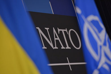 НАТО защитит Украину от хакеров